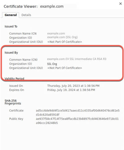 Figure 13: View of the certificate before TLS inspection is applied