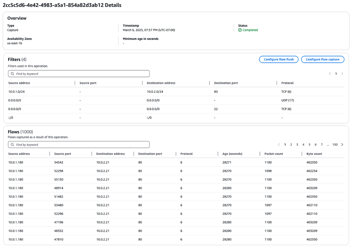 Figure 4: Flow capture operation result