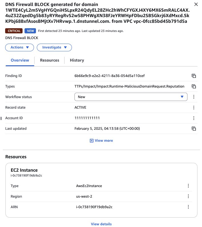 Figure 10: Findings details
