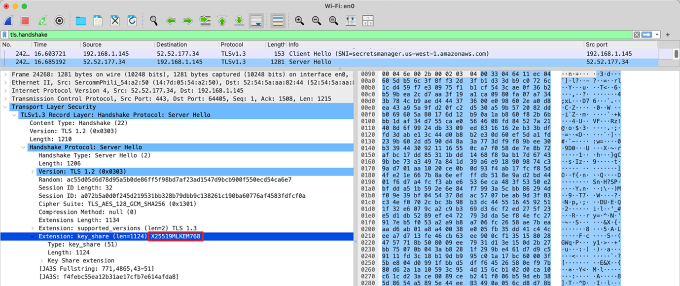Figure 1: Wireshark view of packet capture