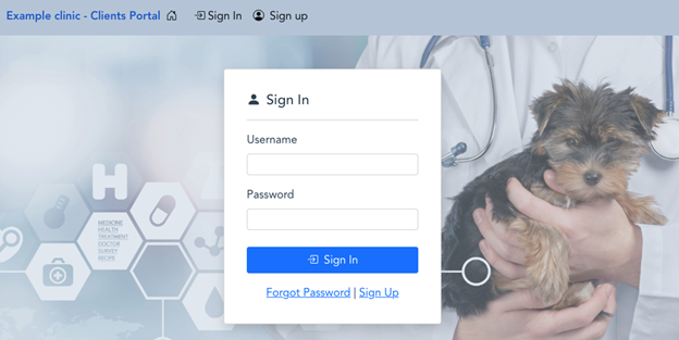 Figure 9: Example of a custom user interface
