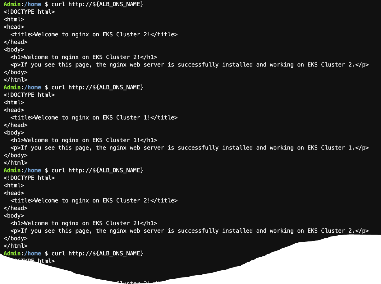 curl 테스트 실행 결과