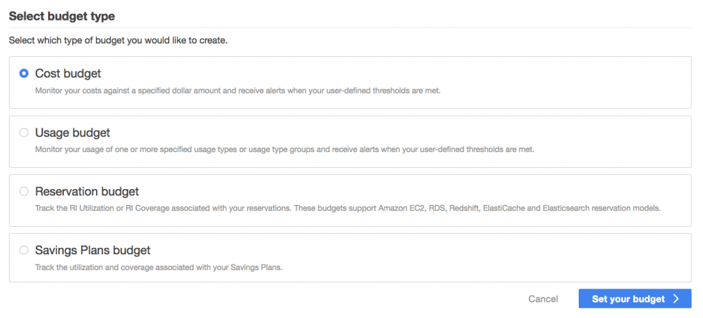 Select AWS Budget Type