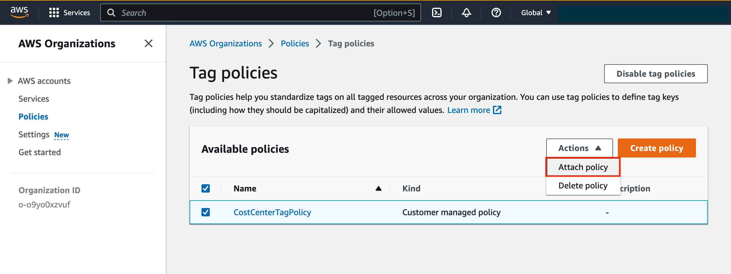 Existing Tag Policies Page, attaching a policy