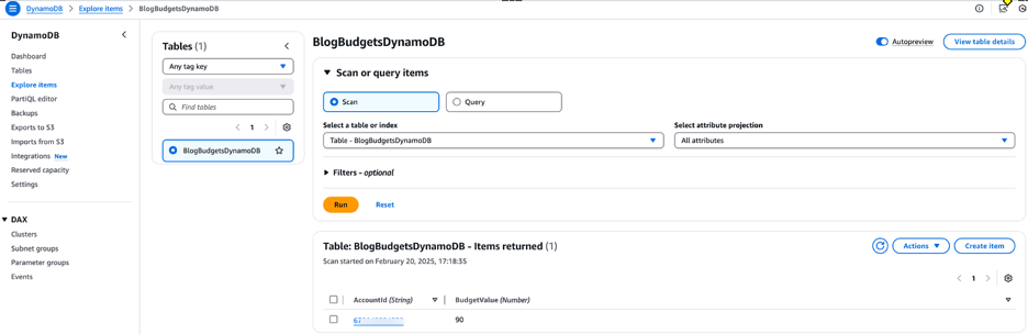 Figure 2: Amazon DynamoDB Table for budgets