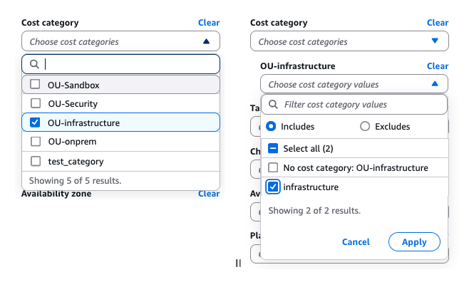 Cost Category Filter
