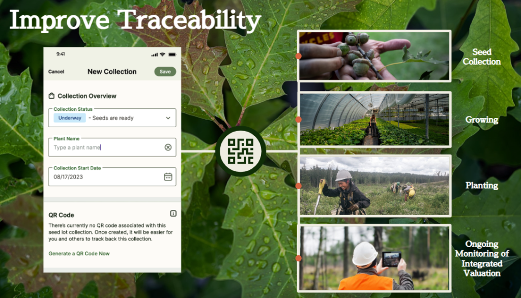 Traceability Process Screenshot