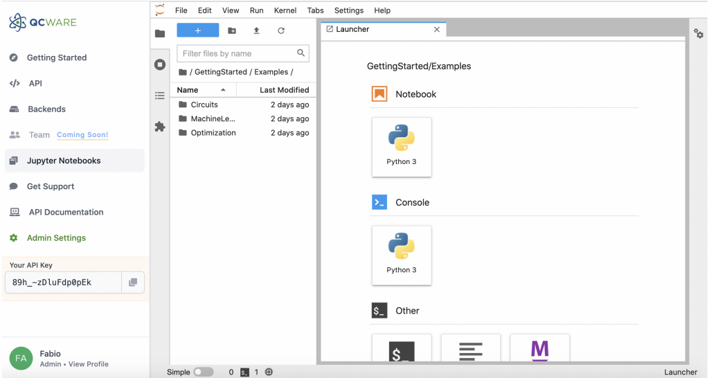 A screenshot of Forge’s Jupyter Notebook environment