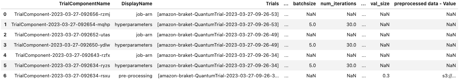 Figure 3 A Pandas DataFrame showing all the information collected during the experiment.