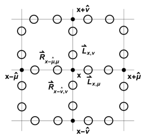 Figure 1: Each link in this lattice has two circles, and each circle represents one qubit.