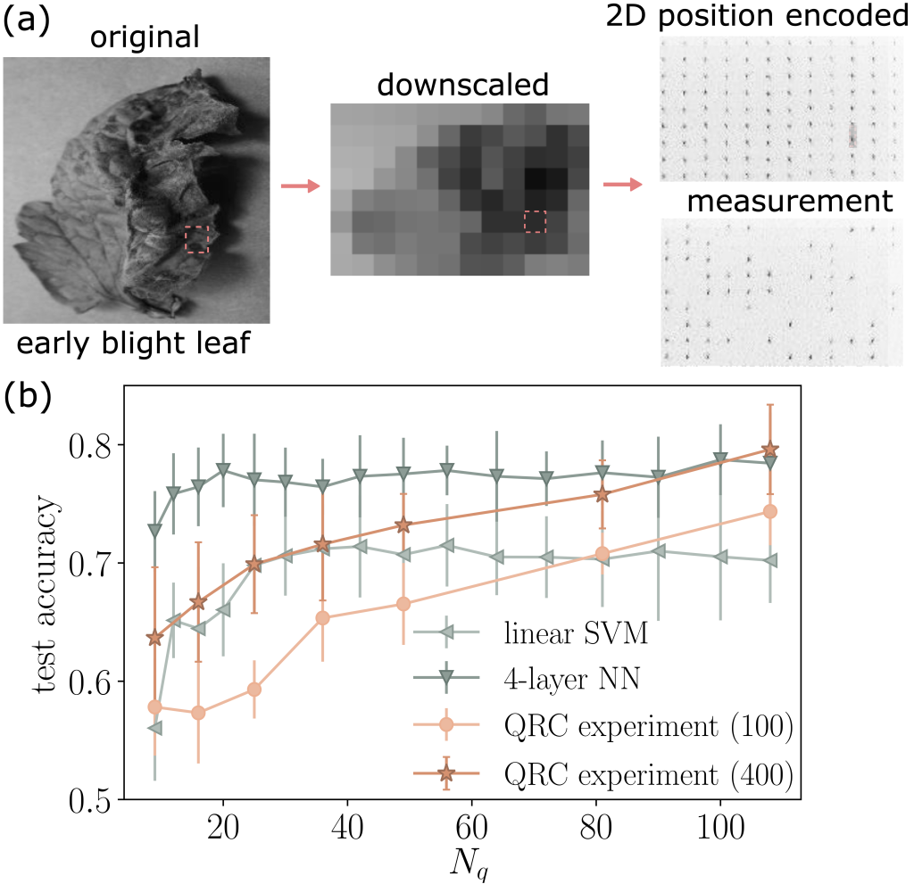 Figure 3 – QRC for classifying tomato diseases based on leaf images. (a) Illustration of 2D position encoding. (b) Comparison with other machine learning methods. Here Nq corresponds to the number of pixels in the downscaled image.