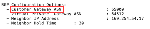 Site-to-site VPN connection configuration file example highlighting customer gateway ASN setting