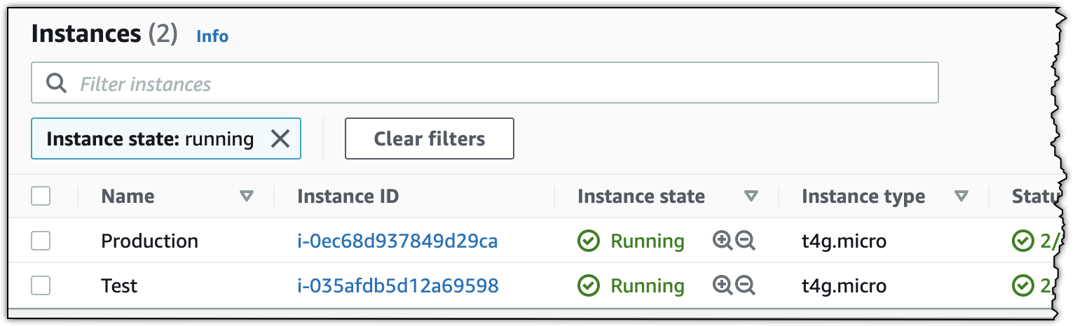 Newly launched EC2 instances in the AWS Management Console.