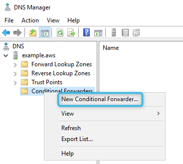 Right click on Conditional Forwarders and chose New Conditional Forwarder