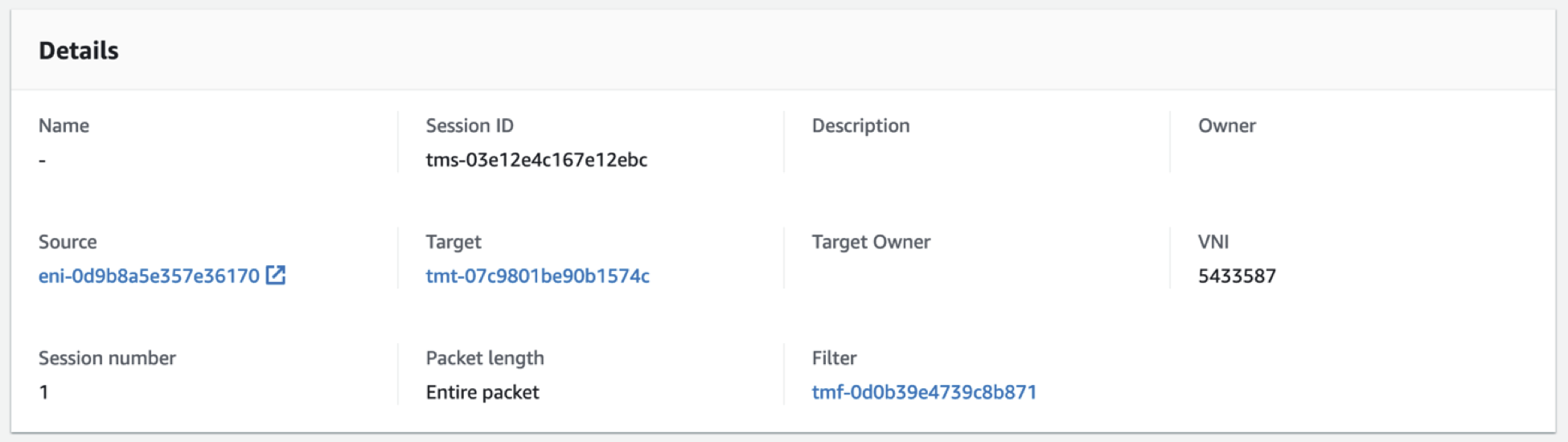 Traffic Mirroring Session