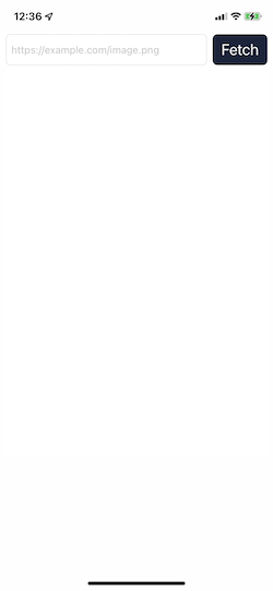 Simple image download app at startup