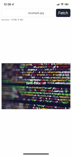 Image downloaded over Wi-Fi in the app