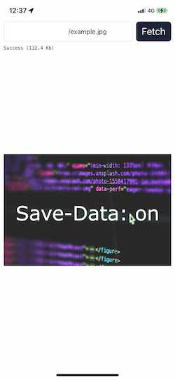 Image downloaded over cellular in Low Data mode in the app