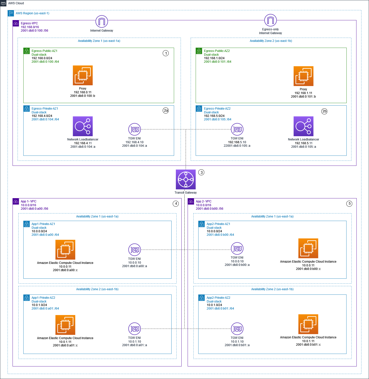 Centralized IPv4 and IPv6 Egress using Proxy Instances and NLB