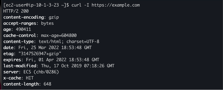 Screen shot of a terminal window showing the AWS CLI depicting the curl command as outlined in the blog