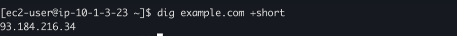 Screen shot of a terminal window showing the AWS CLI depicting the dig command completing successfully as outlined in the blog