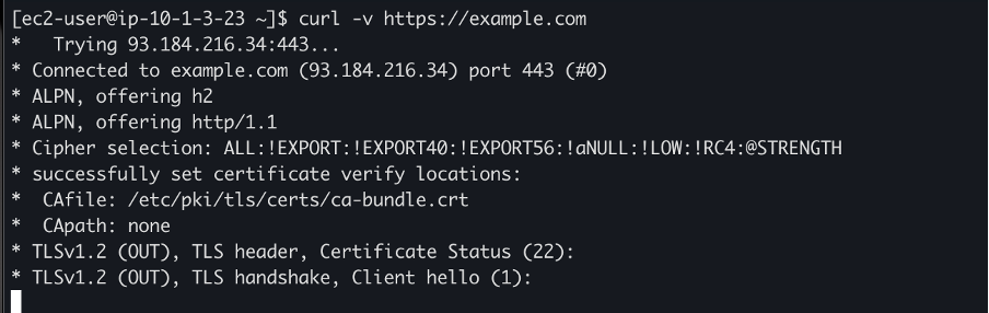 Screen shot of a terminal window showing the AWS CLI depicting the verbose curl showing failed TLS handshake after deploying domain denylist