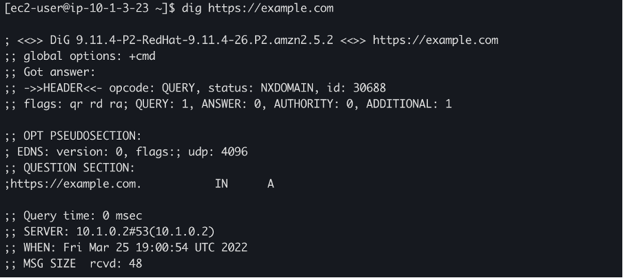 Screen shot of a terminal window showing the AWS CLI depicting the dig test showing empty DNS response after deploying domain denylist
