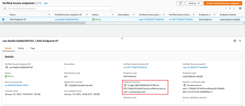 Figure 10: AVA Endpoint DNS