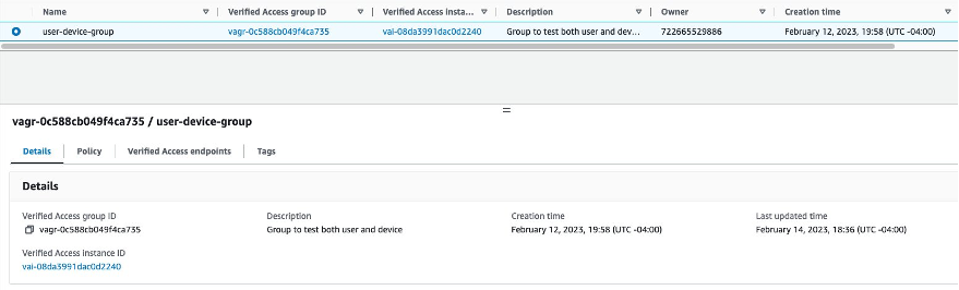 AWS Verified access group details sample screenshot for reference. User has the ability to update the policy in this screen
