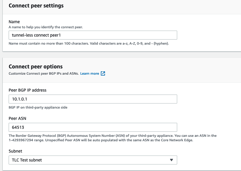 Figure 6: Configure a Tunnel-less Connect peer