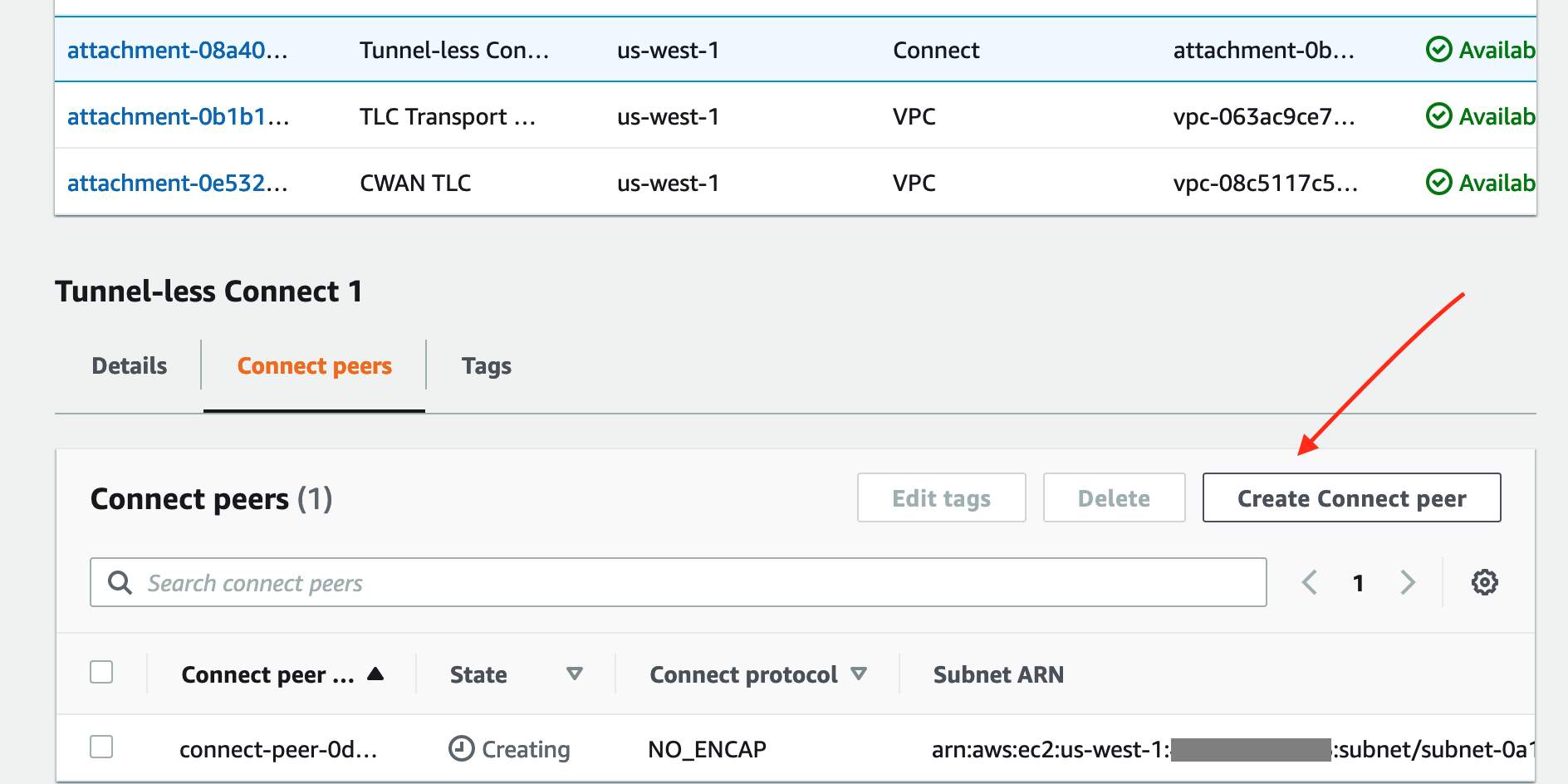Figure 5: Create a Tunnel-less Connect peer