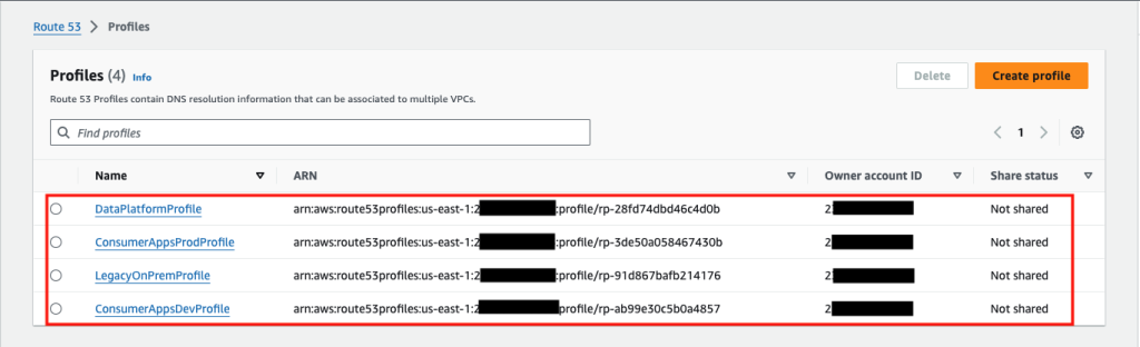 Figure 12: All Route 53 profiles.