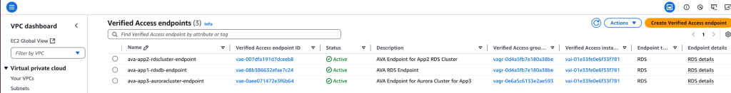 Figure 8: List of Verified Access Endpoints for the databases