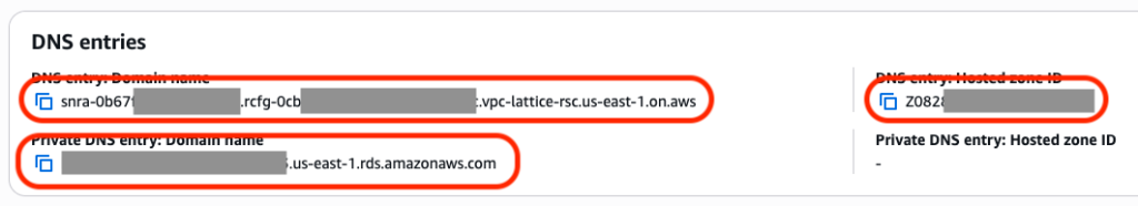 AWS Management Console view showing a resource configuration association details. In red circles some information is highlighted: Domain Name, and Hosted Zone ID