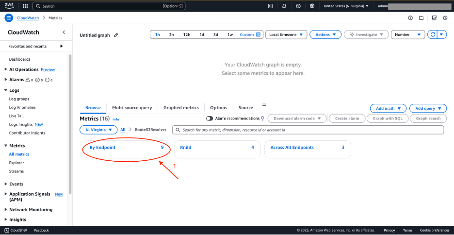 AWS CloudWatch metrics page showing a filter for Route53Resolver with options 'By Endpoint' (marked with red arrow), 'RnId', and 'Across All Endpoints'. The interface displays an empty graph area with time range controls and various monitoring options. Navigation shows Browse tab selected with metrics filter for N. Virginia region.