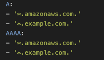A YAML configuration snippet defining allowed DNS record types for specific domains. The A record type allows *.amazonaws.com. and *.example.com., and the AAAA record type also allows *.amazonaws.com. and *.example.com.