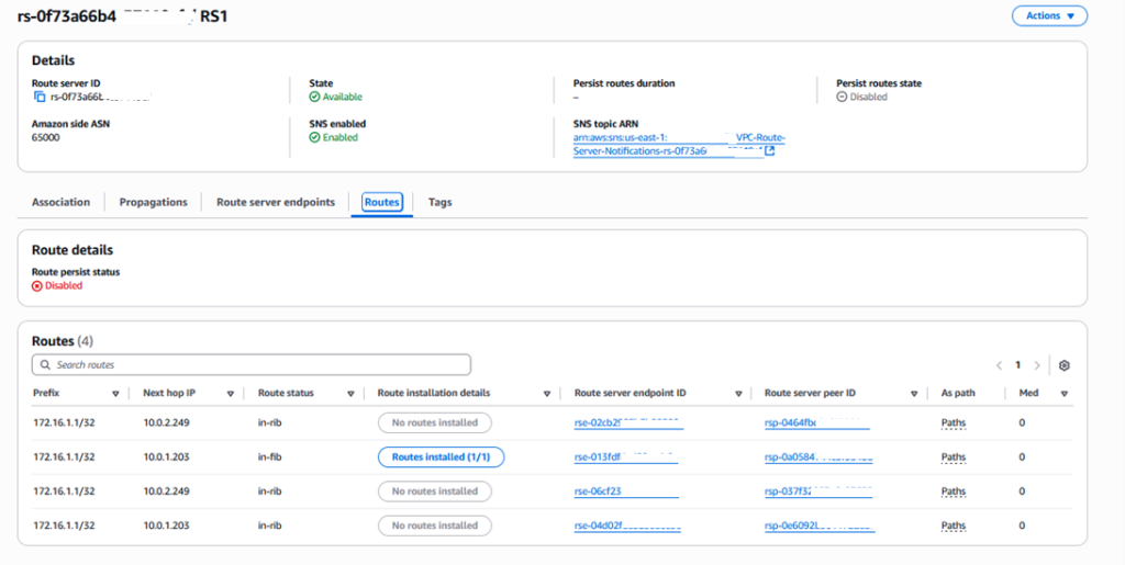 Figure 4. Route Server RIB table