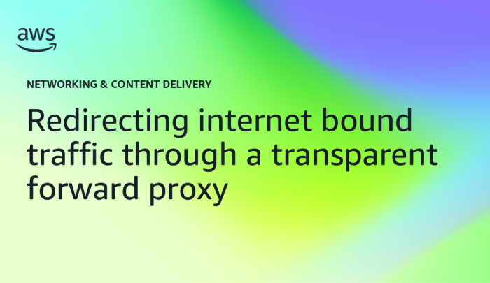 Redirecting internet bound traffic through a transparent forward proxy