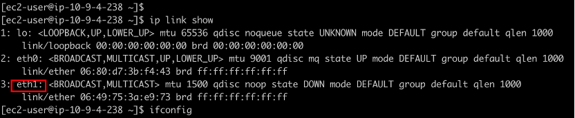 A network interface named eth1 is visible in the node