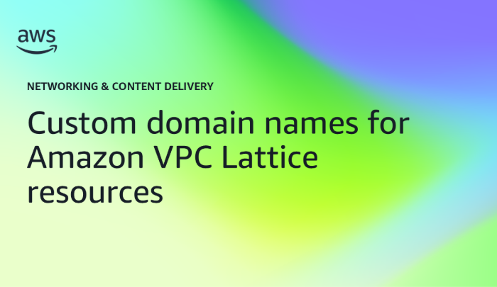 Custom domain names for VPC Lattice resources