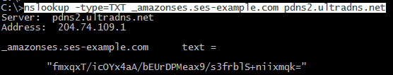 nslookup output