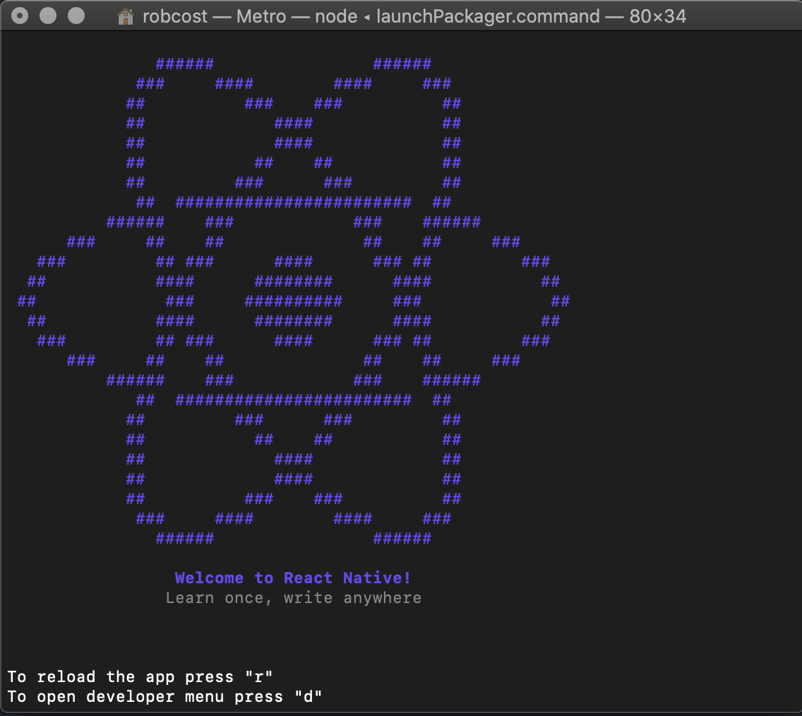 command line running metro bundler