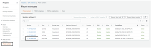 Phone numbers in Pinpoint