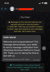 Screenshot of WhatsApp test message sent from Meta Console.