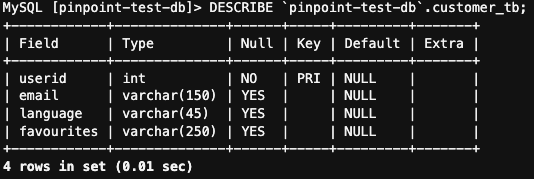 Fig 8: Verify schema for customer_db table