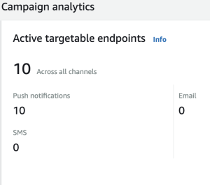 Fig 13: Amazon Pinpoint endpoint summary