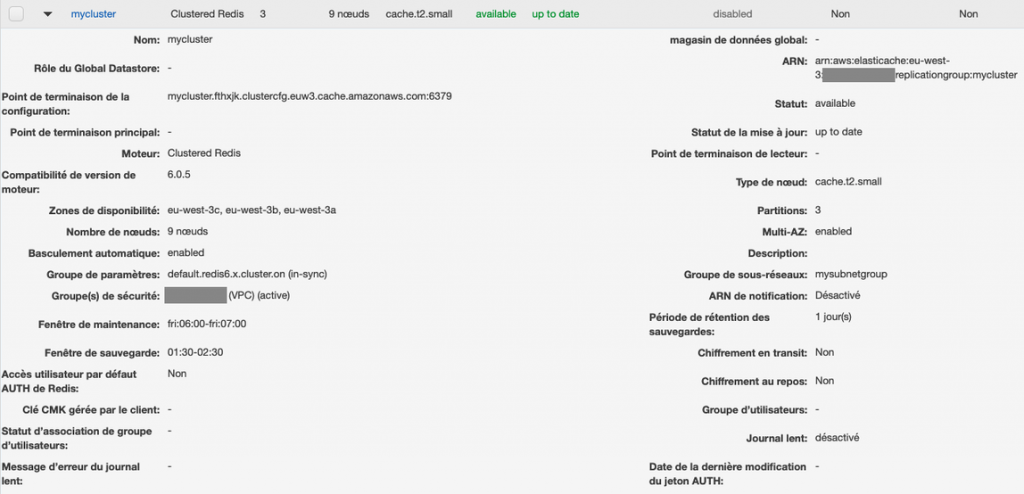 elasticache cluster details