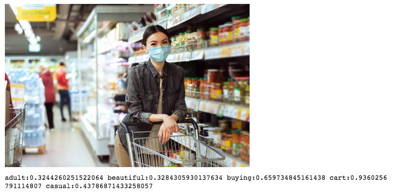 Image Classification Test Result from SageMaker Notebook