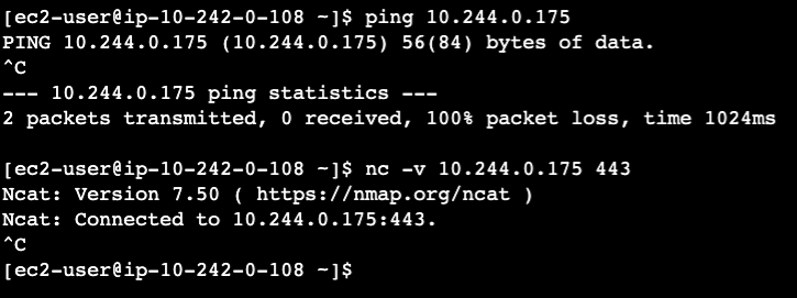 ping and tcp test example from CLI
