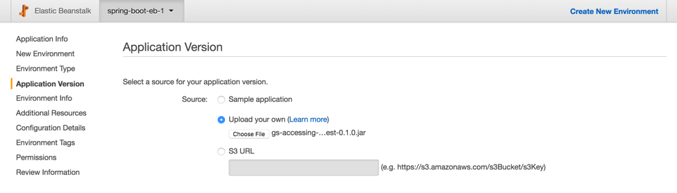 Application Version Screenshot